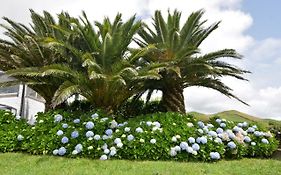 Villa Flor Do Monte