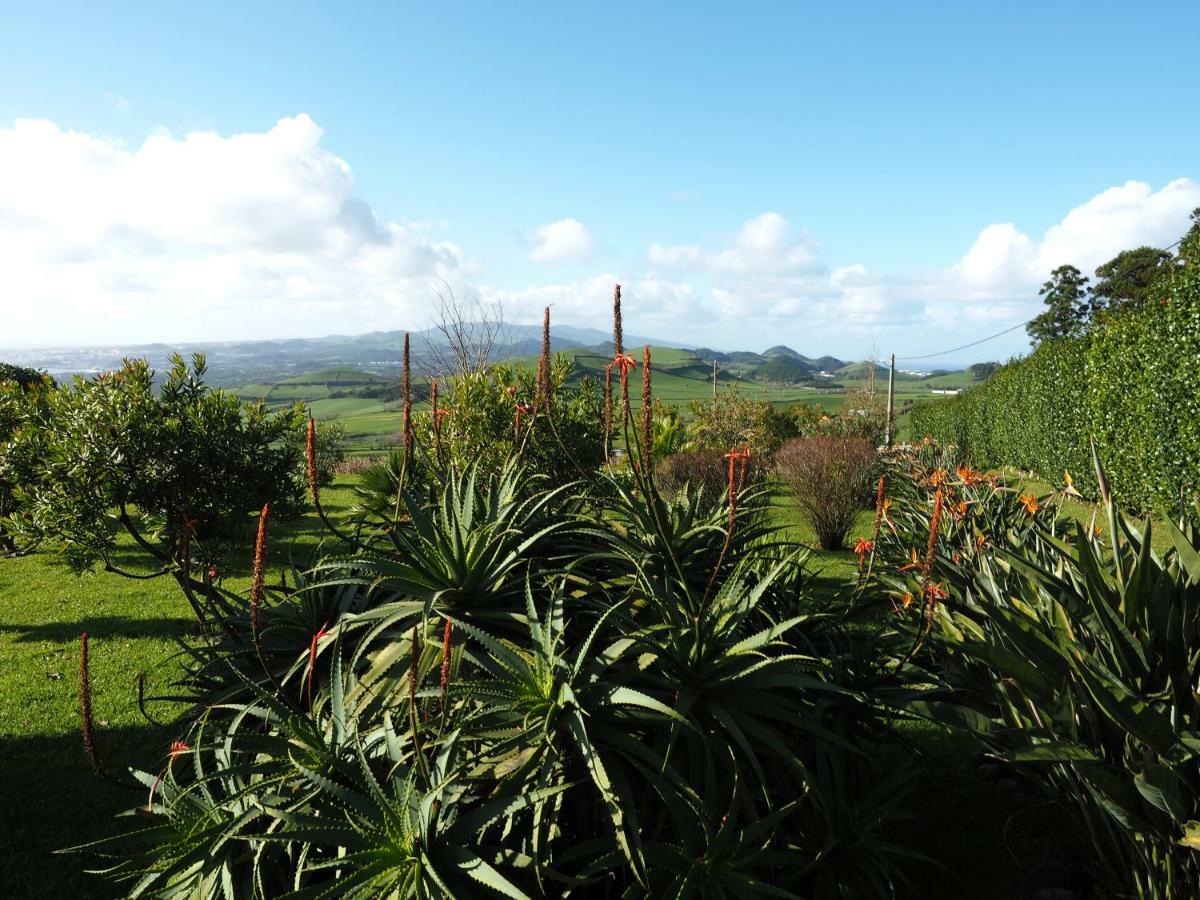 Villa Flor Do Monte Lagoa  Buitenkant foto